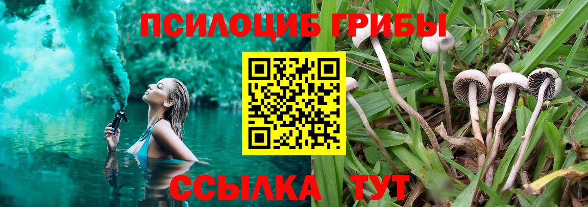 Псилоцибиновые грибы мицелий Дальнереченск